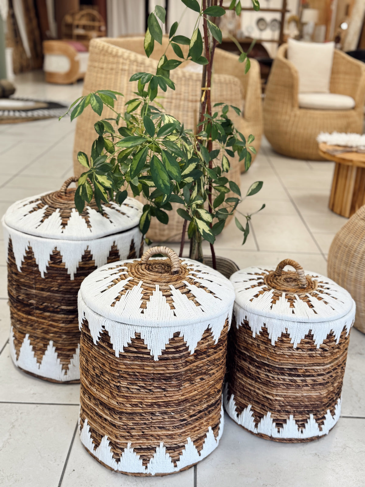 Panier avec couvercle
