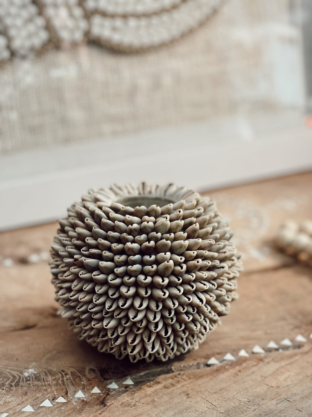 Bougeoir photophore en coquillages
