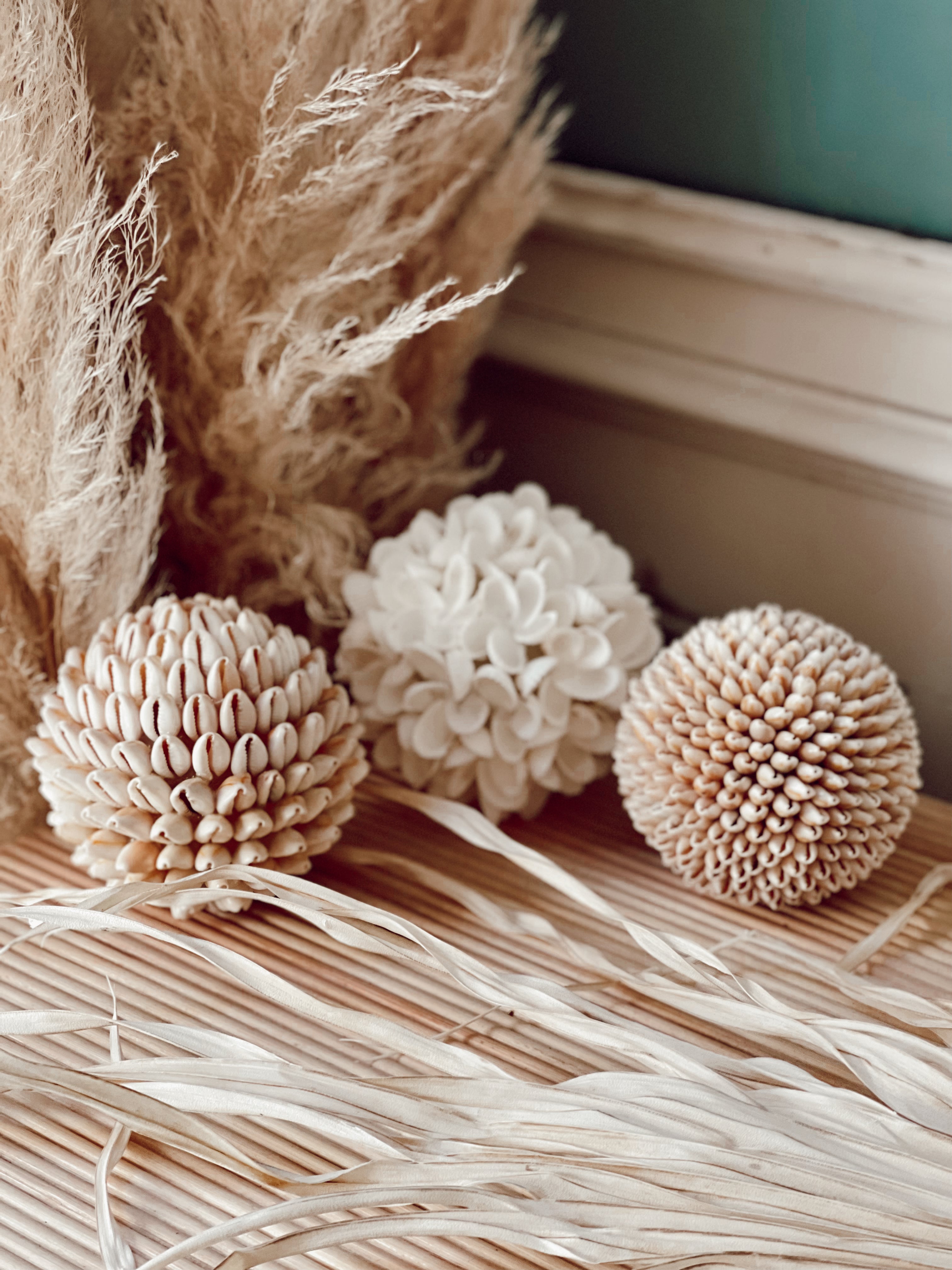 Boule coquillages