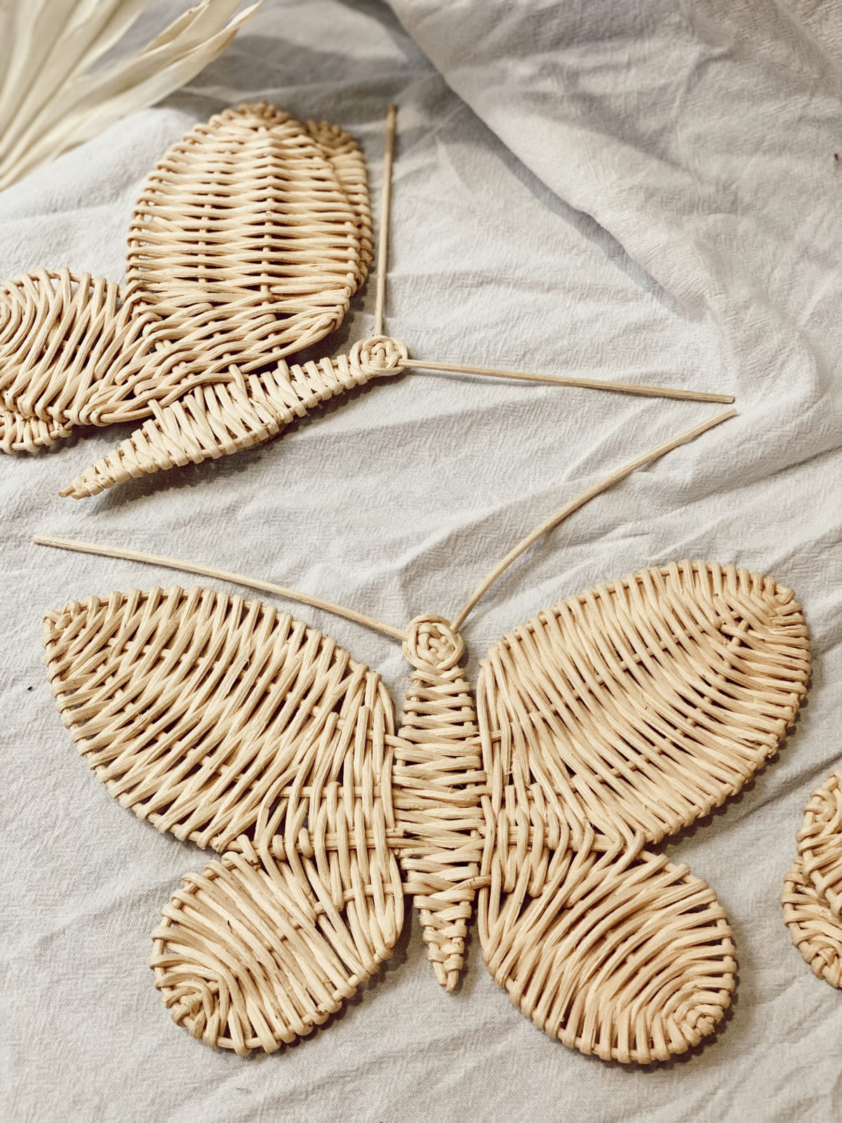 Pre-Order Butterfly Set