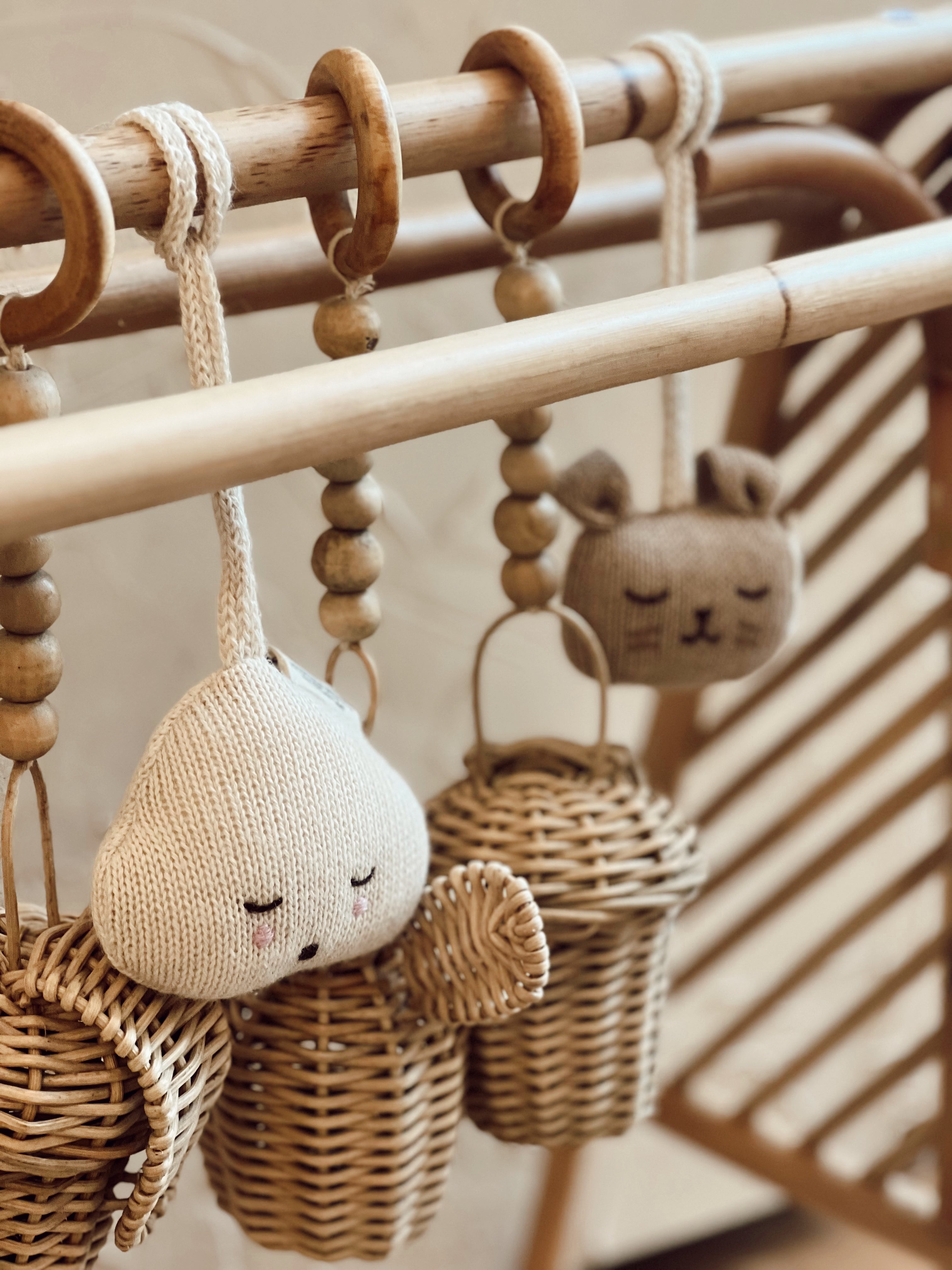 Hanging Rattle Cloud