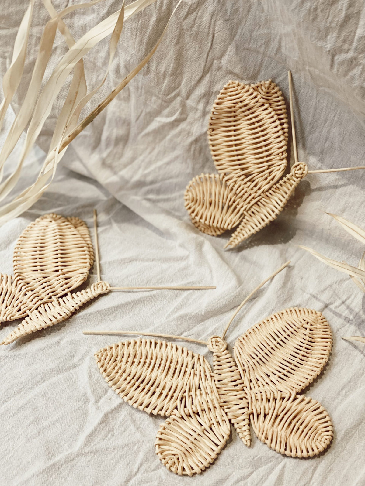 Set de papillons