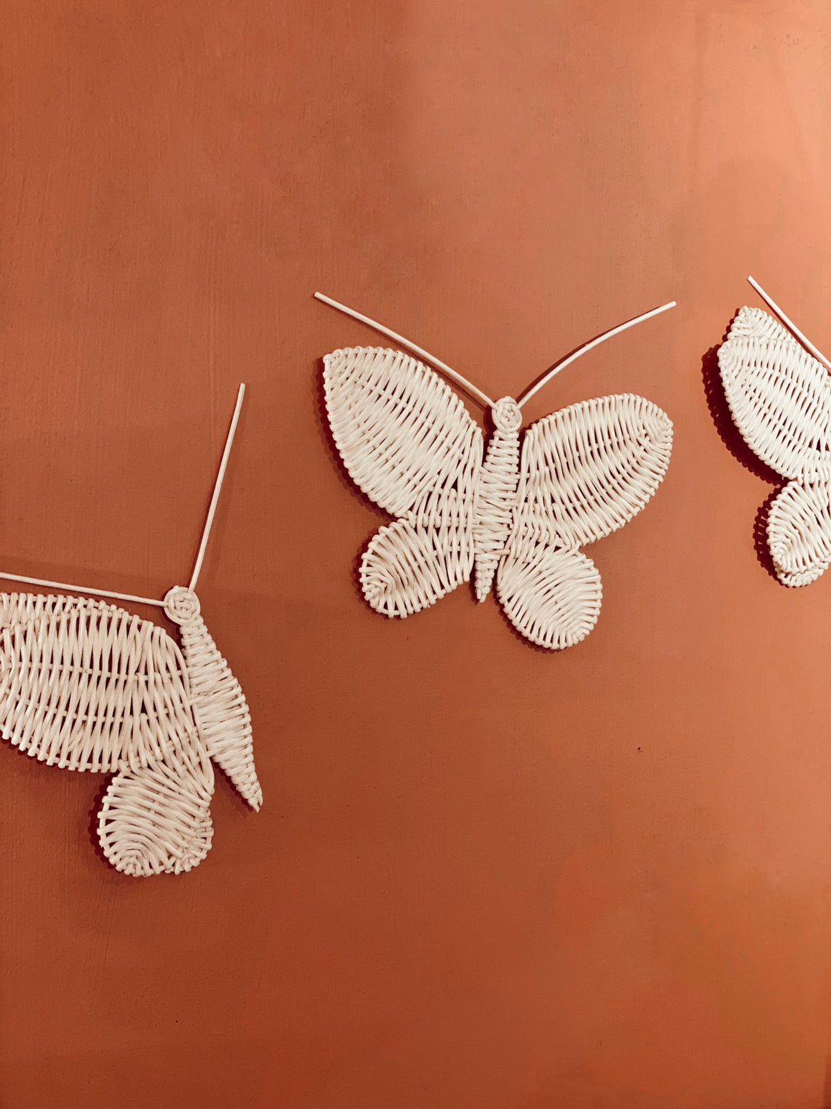 Set de papillons